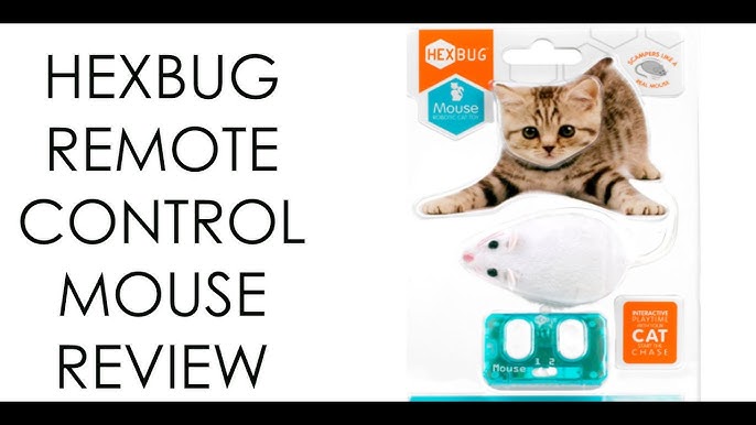 HEXBUG nano® Robotic Cat Toy