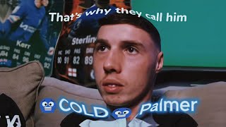 🥶COLD PALMER | edit |