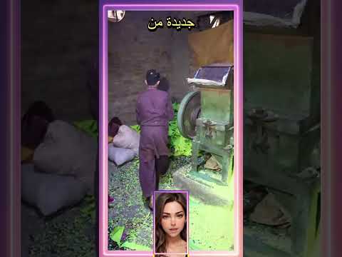 في ورشة خافتة النور قرر العم سالم أن ينتج دفعة    