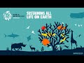 World wildlife day 2020  sustaining all life on earth