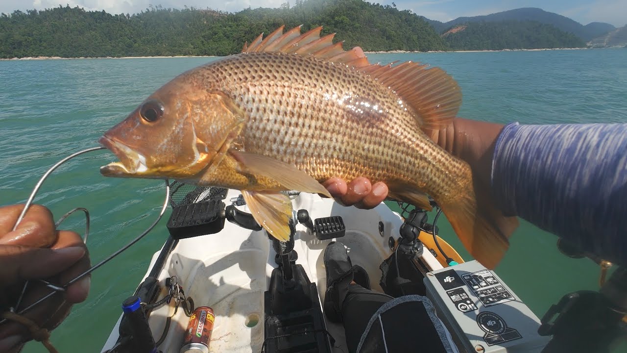 Kayak Fishing Malaysia | Malakof ke Pulau Talang | Usah dikenang yang terlepas