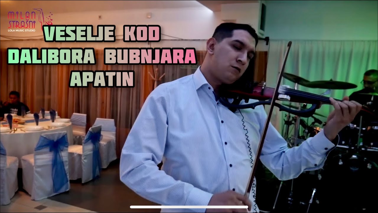 VESELJE KOD DALIBORA BUBNJARA / MOMIR  / JOCA PIROMANAC / BURIC / STEVAN / VELJKO / DARKO / STRASNI