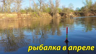 видео: Рыбалка на реке. апрель 2022 картинка: Рыбалка на реке. апрель 2022