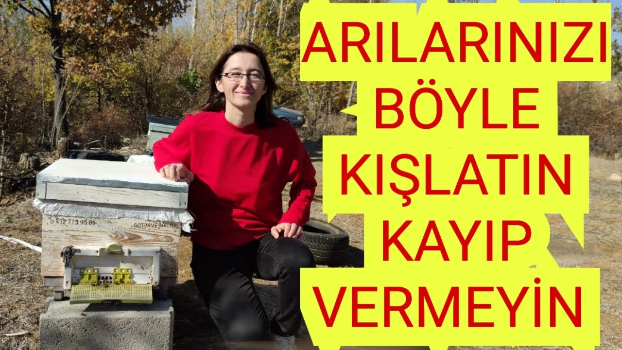 ARILARINIZI BÖYLE KIŞLATIN KAYIP VERMEYİN 🐝YENİ BAŞLAYANLAR MUTLAKA İZLESİN 🐝02/11/2024🐝#arıcılık