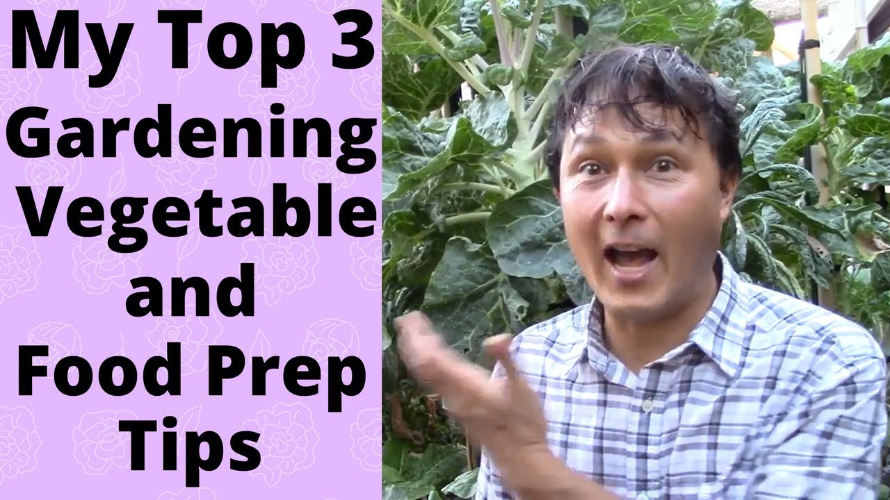 My Top 3 Gardening, Vegetable and Food Prep Tips - YouTube