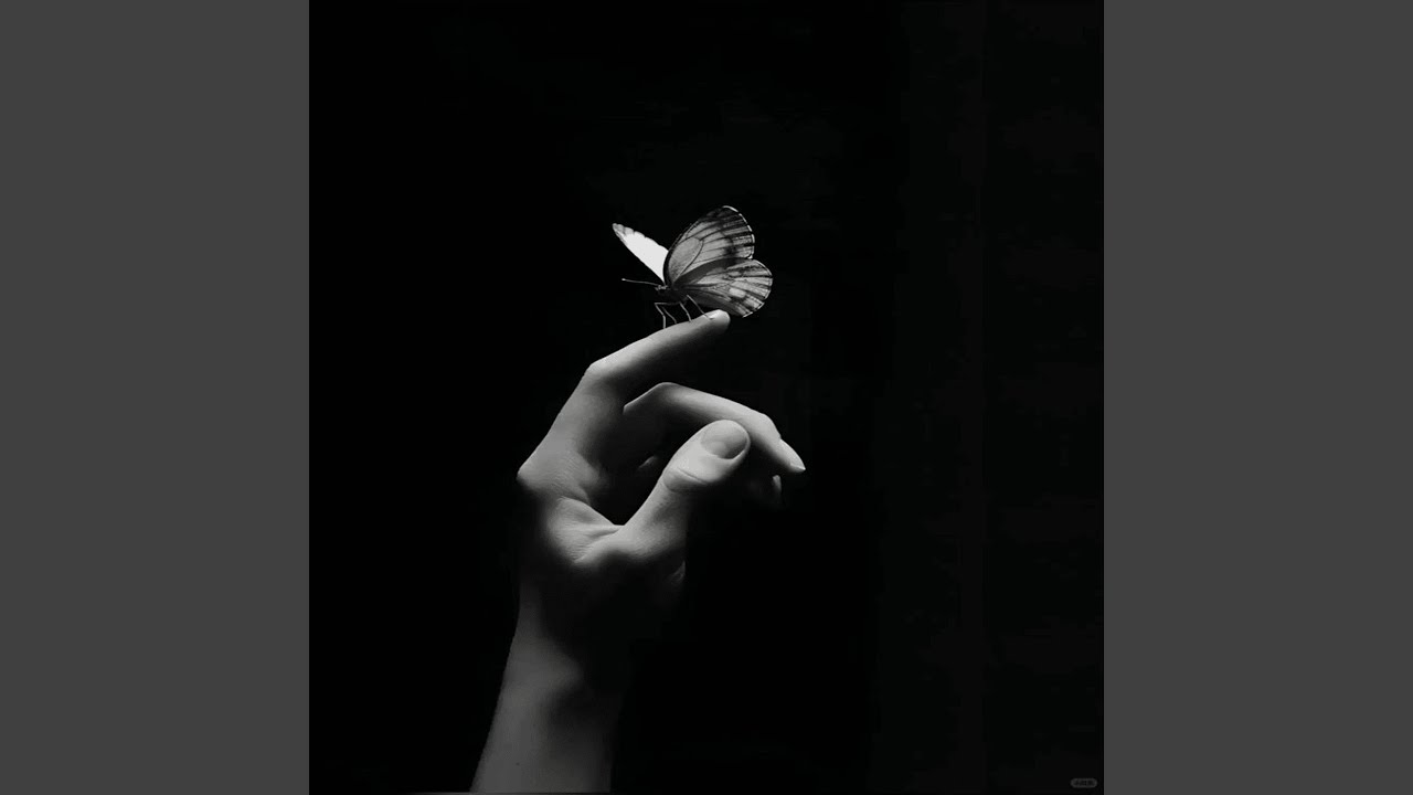 Watch Every Scar on YouTube Watch Every Scar on YouTube