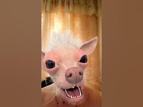 Палёная водка - YouTube