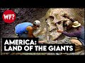 Forbidden archaeology lost giants of america  the smithsonians biggest secret