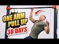 Learning The ONE-ARM PULL UP In 30 DAYS ft. Stan Browney