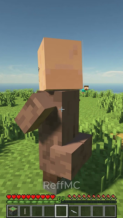 This Villager Wanted to Marry Me!