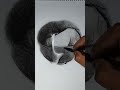 Dibujo a lpiz parati short.s viral art