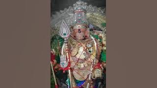 தண்டையணி வெண்டையங் கிண்கிணிச தங்கையுந்     தண்கழல்சி லம்புடன் ...... கொஞ்சவேநின்