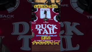 手頃な価格で買える＆使えるダッキングディレイ！T.Rex Duck