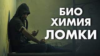 ЛОМКА С ТОЧКИ ЗРЕНИЯ БИОХИМИИ | Клиника Online