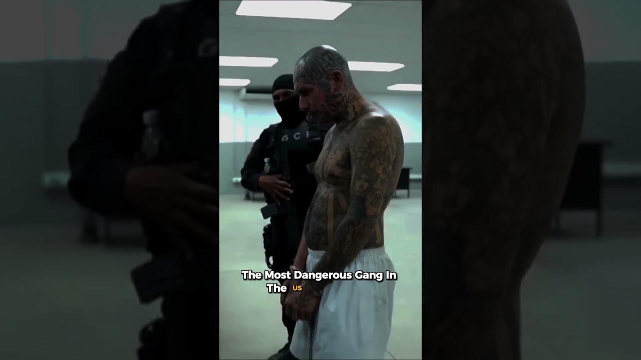 Top 3 Most Dangerous Gangs In The US Shorts