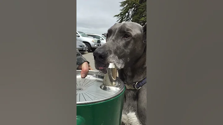 Slo mo drinking