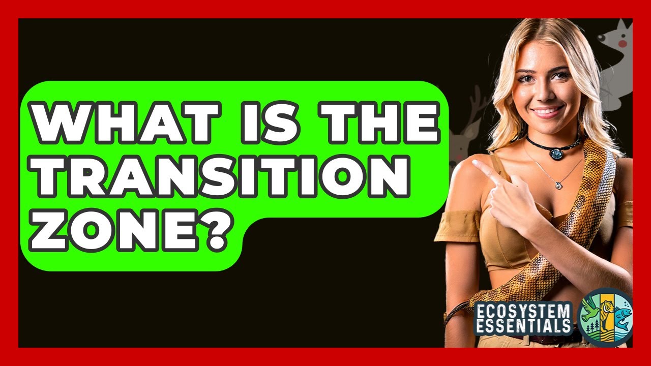 What Is The Transition Zone? - Ecosystem Essentials