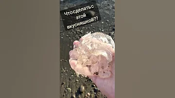 А переработка медуз вообще реальна? Накидывай советы!)) #переработка #медуза