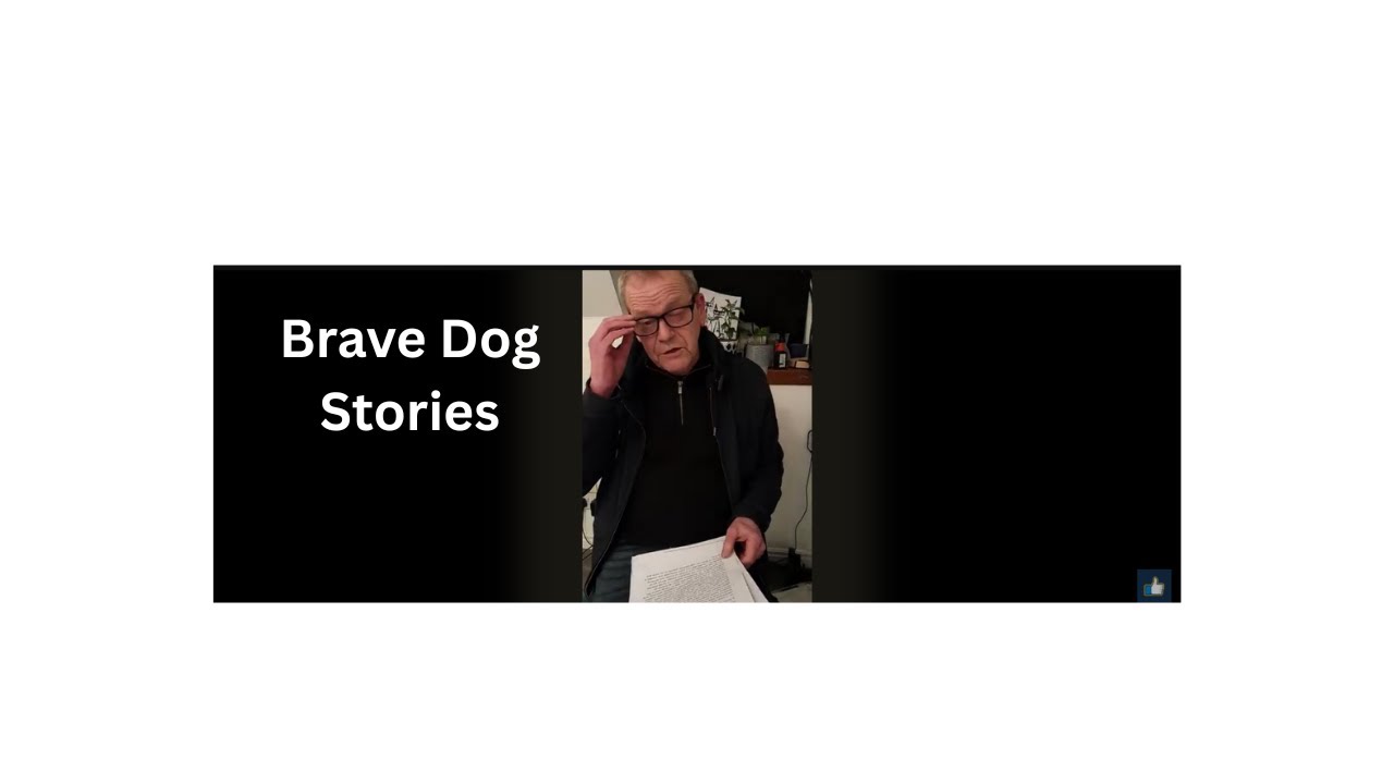 Brave Dogs - Here Was the News