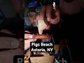 Pig Beach in Astoria, NY #unknowings #fyp #NYC #knicks #nyfoodie @PigBeachBrawl