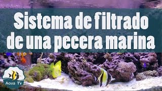 Sistema de filtrado de una pecera marina