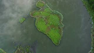 Dji Mini Sen To Czy Jawa