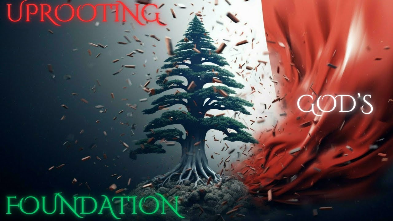 Curated visual reference: Picture Idea: Uprooting God S Foundation Pt 2