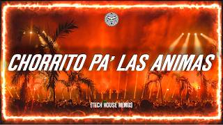 Feid - Chorrito Pa' Las Animas (Tech House Remix)