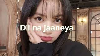 (sped up) Dil na jaaneya || akasa , lauv \u0026 rochak Kohli