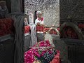 SAIYED ALI MIRA DATAR DARGAH PAR KISIBHI PROBLEM SOLUTION CHAIYE HO TO KHADIM CONTENT:987924 6678