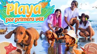 DESASTRES EN LA PLAYA | LOS POLINESIOS VLOGS