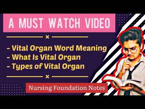 Video: Sunt organele vitale?