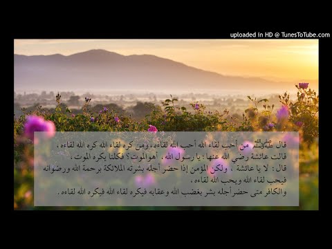 أحوال الناس يوم القيامة الشيخ سعيد بن مسفر سلسلة مراحل الدار الآخرة بدءا من الوفاة