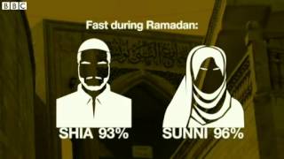 BBC News   Iraq crisis  The Sunni Shia divide explained