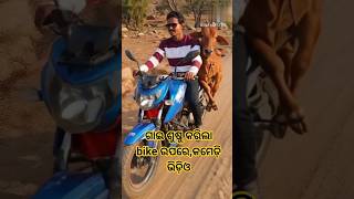 Bike Ride Mein Surprise! 🐄💦 | Sadan aur Gay ka Full Comedy Scene