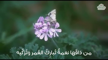 سورة الزخرف عثمان الحداد