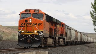 BNSF Gevo Leads a Grain Train