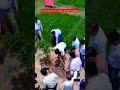 #viralvideos #motivation #latestmeme #comedy #news #dm #hardoi #trees #plants #planting