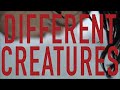 Capture de la vidéo Different Creatures (Official Audio)