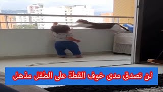 خوف شديد من القطة على الطفل من الوقوع من اعلى المنزل 