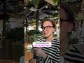 @lolaspeak_app Speak like a native! ️ Discover common phrases and id...