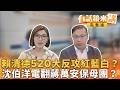 藍營對民進黨的批評