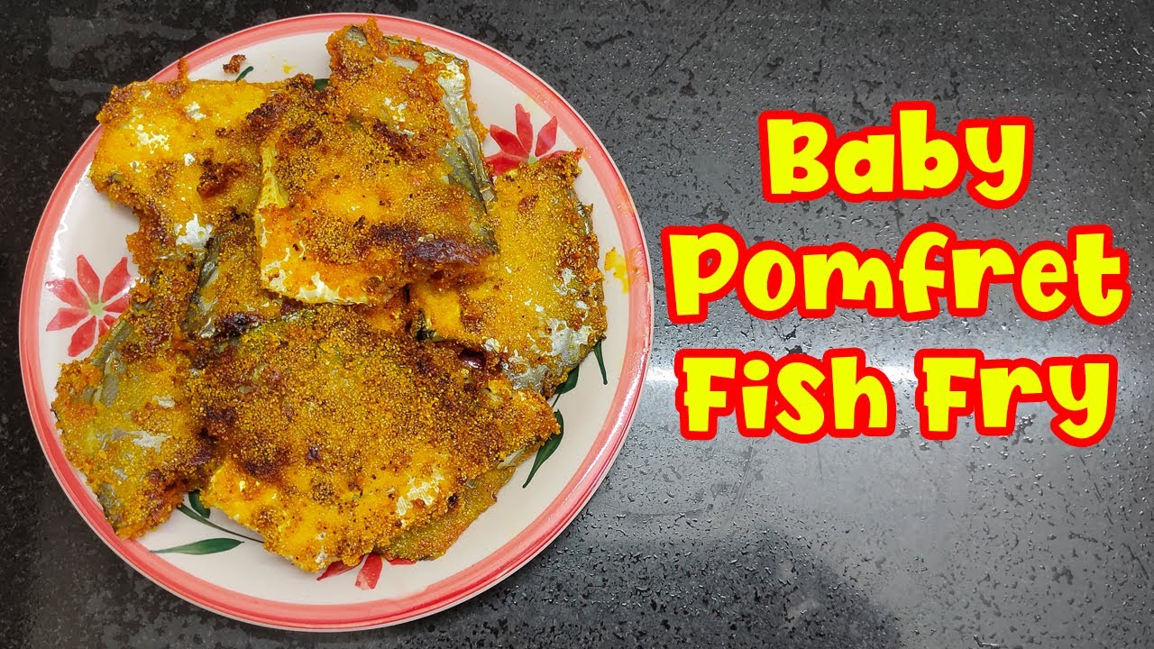 Baby Pomfret Fish Fry Small Pomfret Fish Fry Paplet Fry YouTube