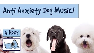 Separation Anxiety Curing Music! Music to Help Calm Down and Soothe Dogs with Separation Anxiety