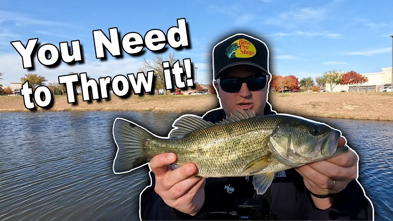 The Best Early Winter Bass Fishing Lure! (Fishing Fort Worth Pond ...