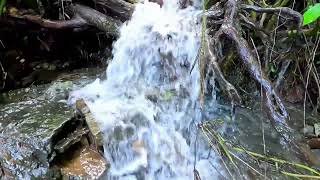 A River Stream Flowing Down From The Hills.