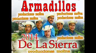 aquien-quiero-engañar-los-armadillos-de-la-sierra2014 aquien-quiero-engañar-los-armadillos-de-la-sierra2014