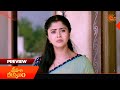 Sri Hari Kalyanam - Preview of the day | Watch full EP Sun NXT | 05 June 2026 | Sun Gemini