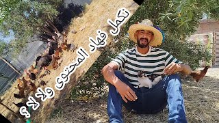 مشروعي البسيط دعيو معانا 🐓🐓🦃