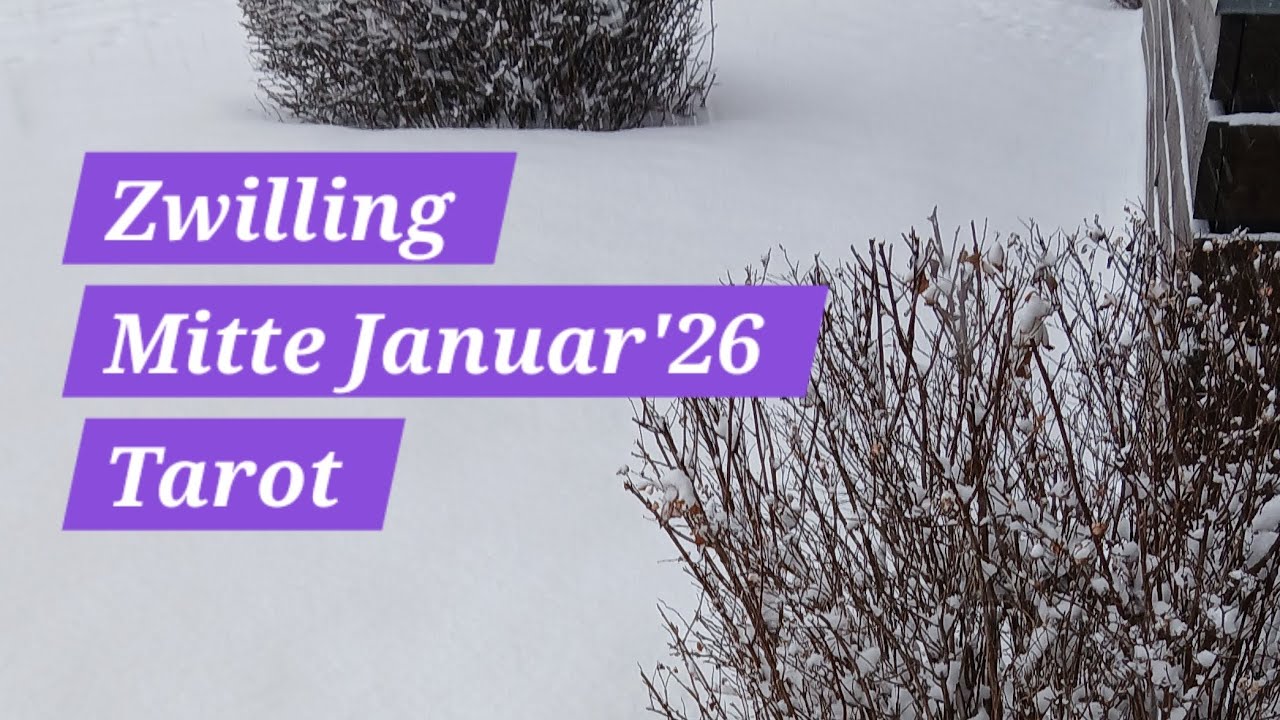 Zwilling♊️ 💖Dein Liebesleben wird sich komplett verändern🥂💖✨️